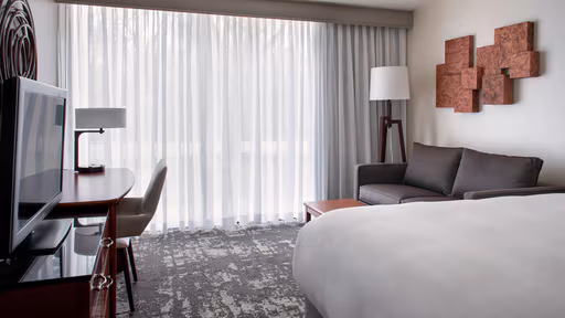 Marriott Park Ridge Hotel Room